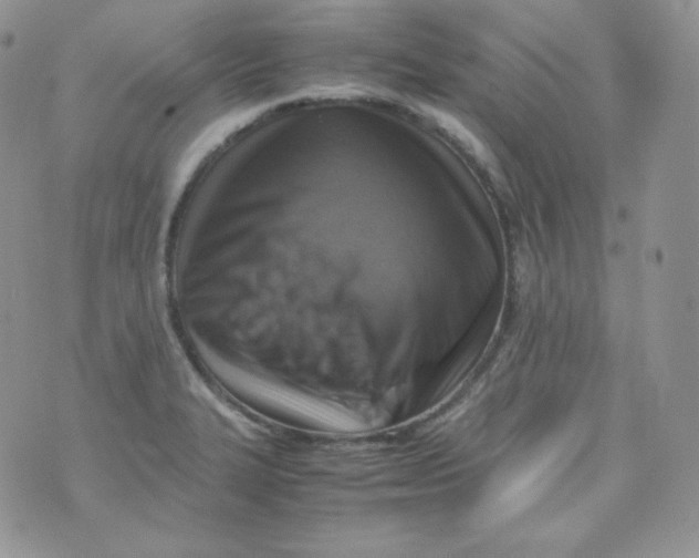 X0000070371327200606301846