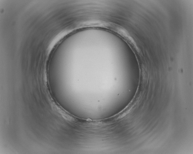 X0000070371328200606301847