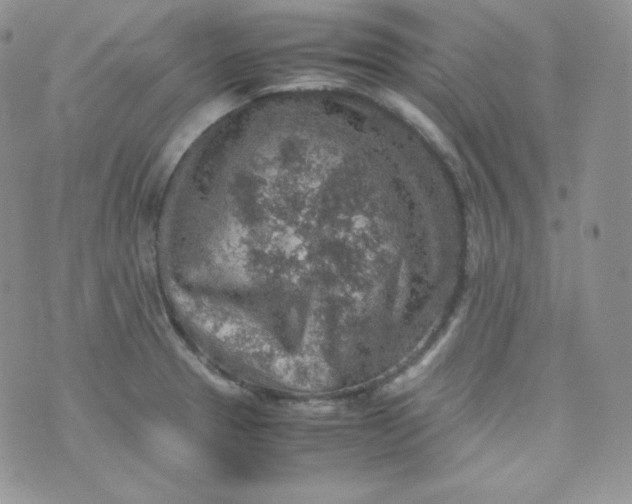 X0000070371329200606301847