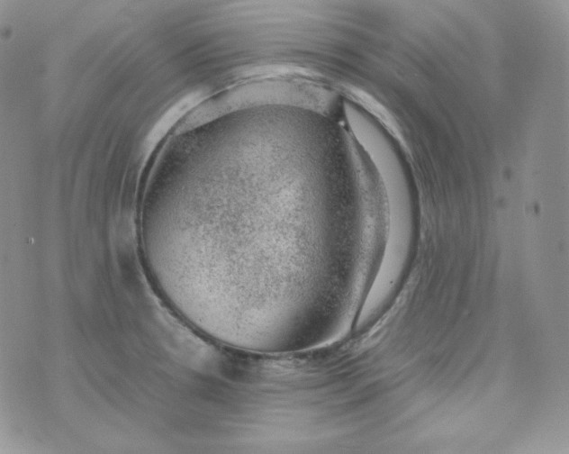 X0000070371330200606301847