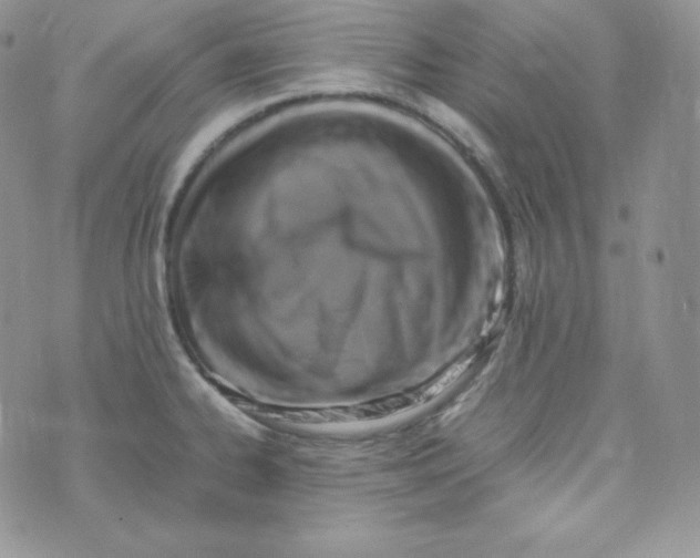 X0000070371334200606301847