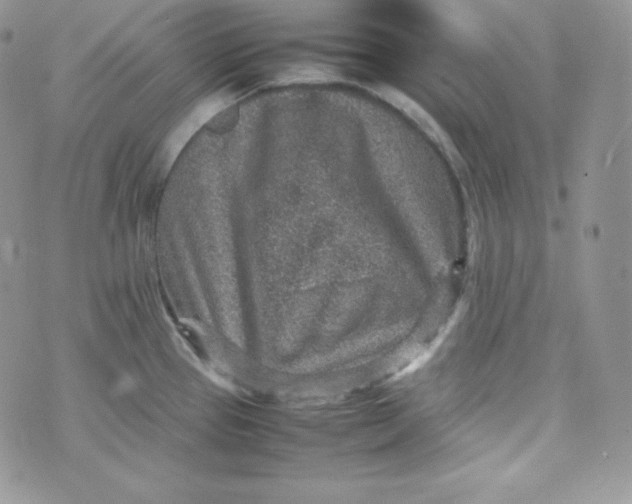 X0000070371337200606301847