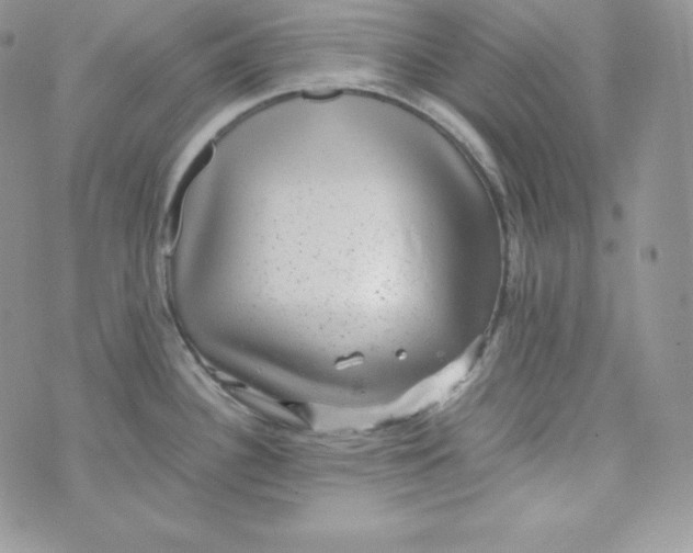 X0000070371340200606301847