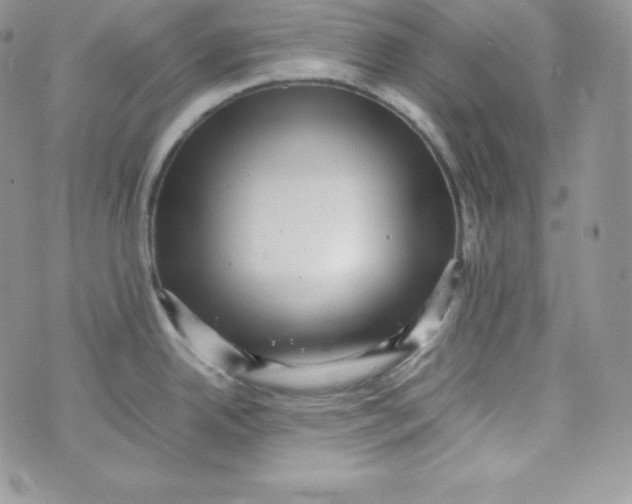 X0000070371342200606301847