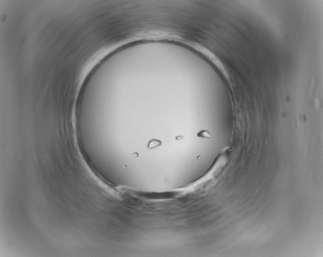 X0000070371343200606301847