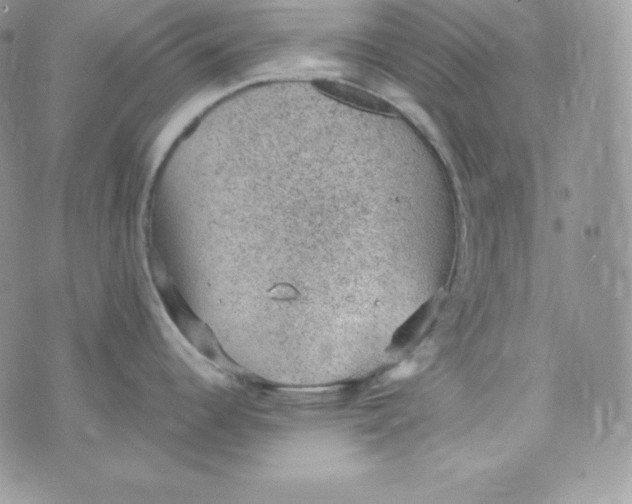 X0000070371344200606301847