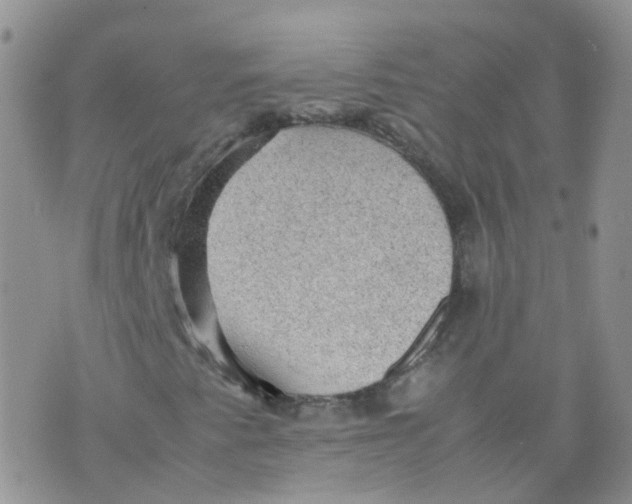 X0000070371345200606301846