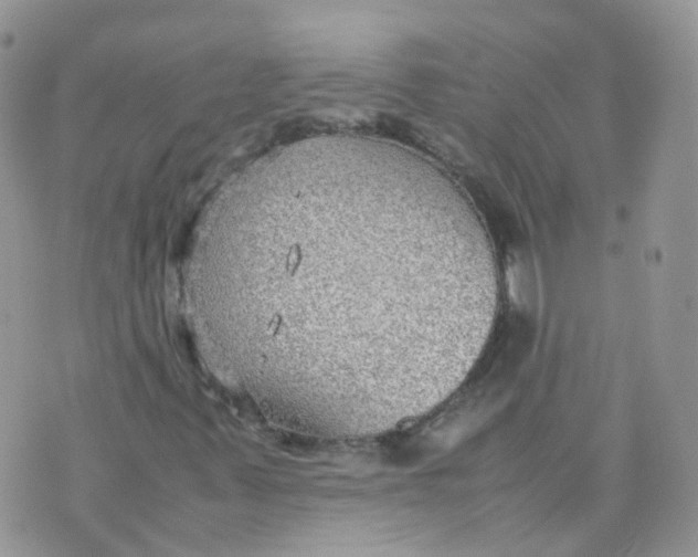 X0000070371347200606301846