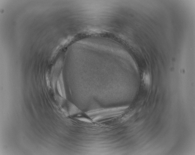 X0000070371348200606301846