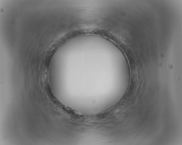 X0000070371349200606301846