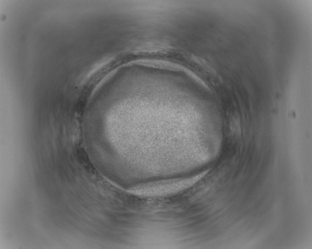 X0000070371350200606301846