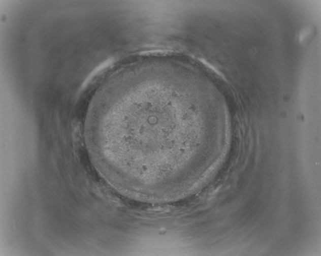 X0000070371351200606301846