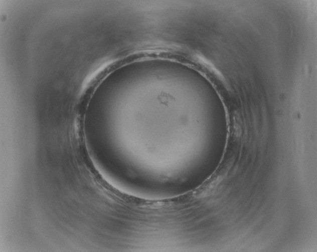 X0000070371352200606301846