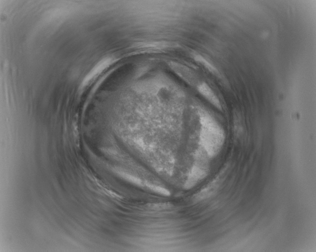 X0000070371354200606301846