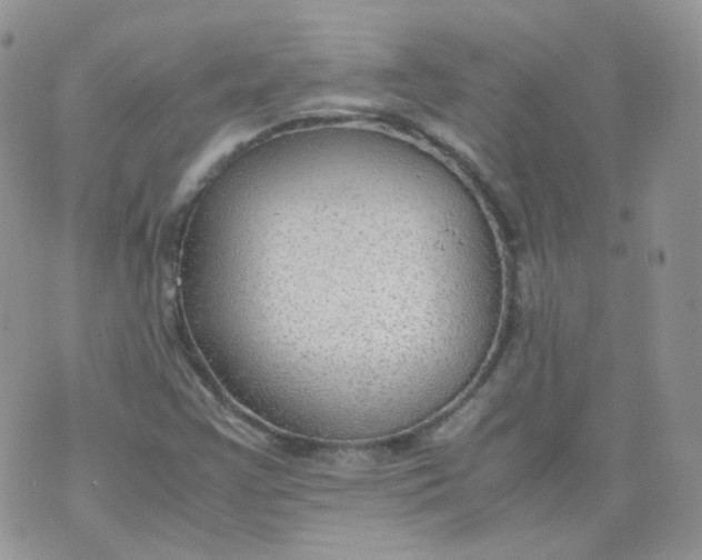 X0000070371355200606301846