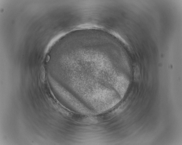 X0000070371358200606301846