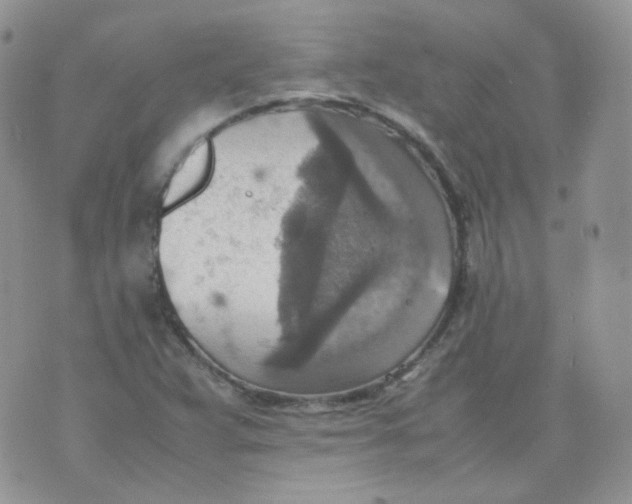 X0000070371359200606301846