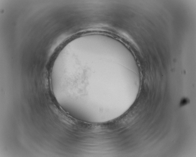 X0000070371360200606301846