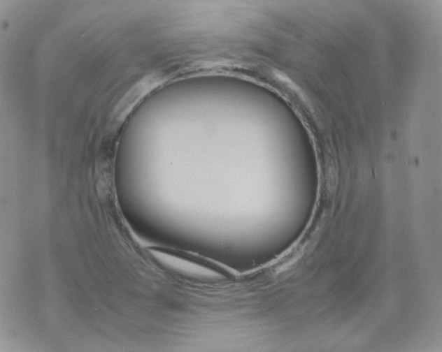 X0000070371361200606301846