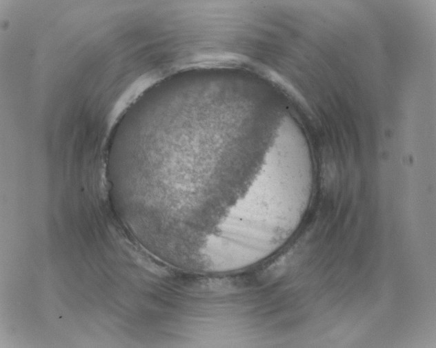 X0000070371362200606301846