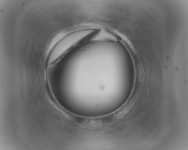 X0000070371365200606301846