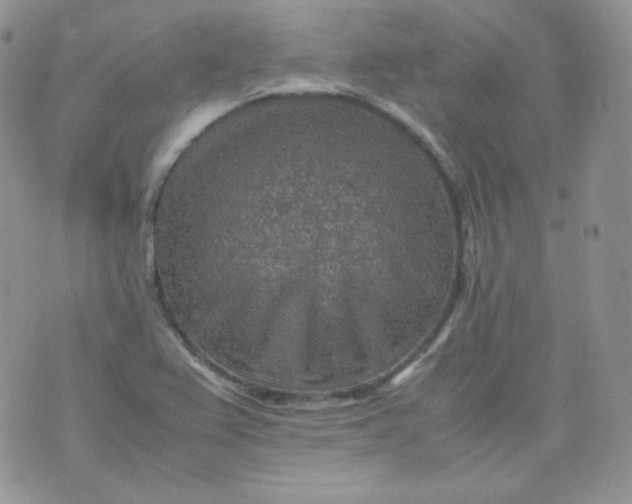 X0000070371367200606301846