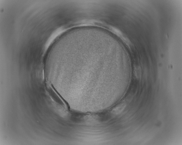 X0000070371368200606301846