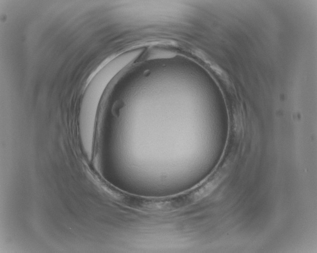 X0000070371369200606301846