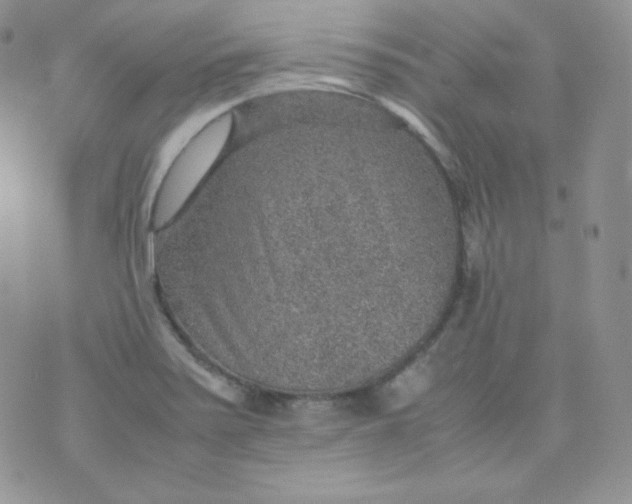 X0000070371371200606301846