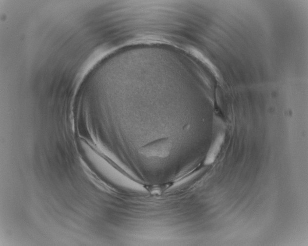 X0000070371372200606301846