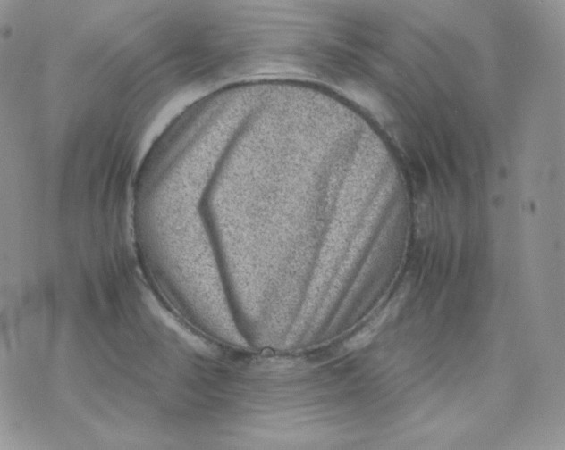 X0000070371374200606301846