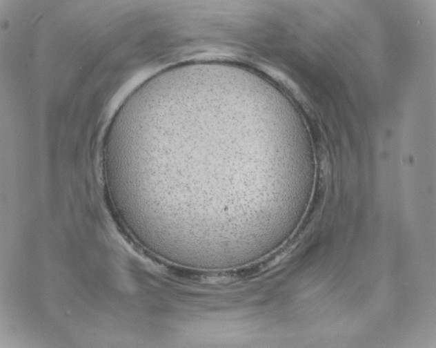 X0000070371375200606301845