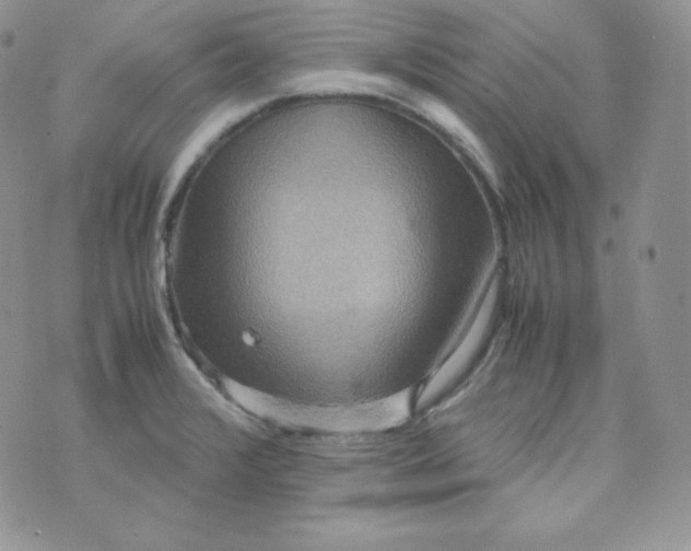 X0000070371376200606301845