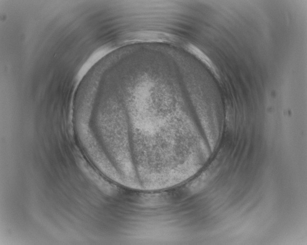 X0000070371378200606301845