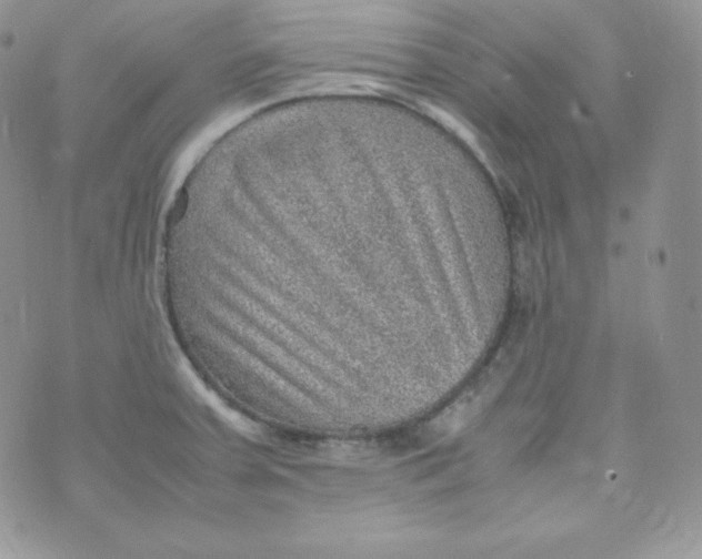 X0000070371379200606301845