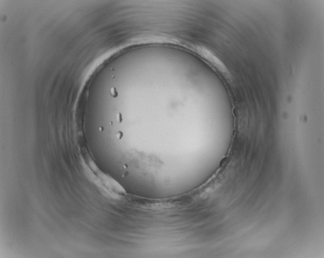 X0000070371380200606301845