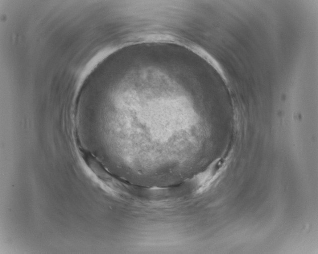 X0000070371381200606301845