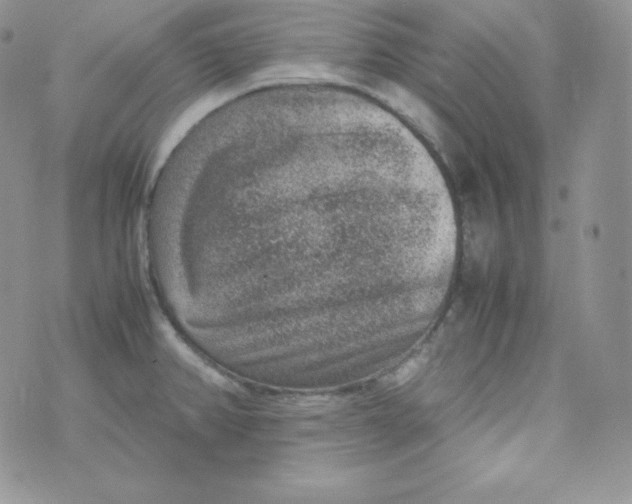 X0000070371382200606301845