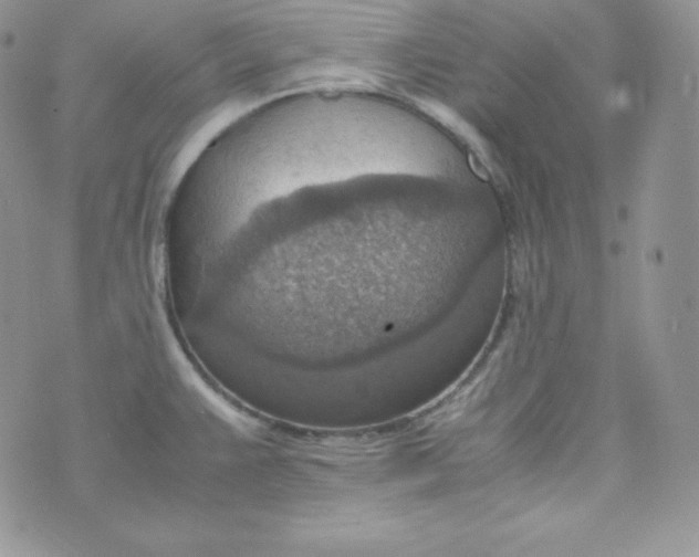 X0000070371383200606301845