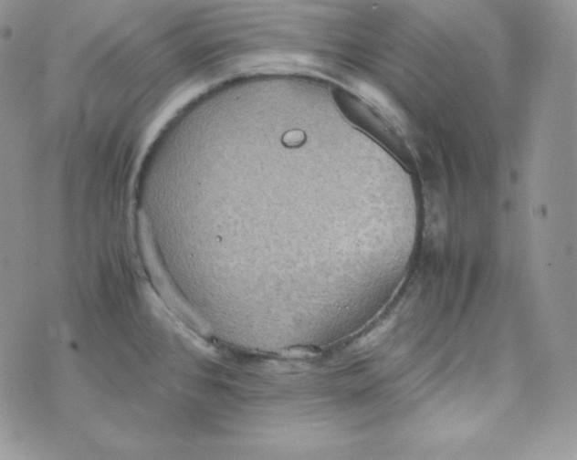 X0000070371384200606301845