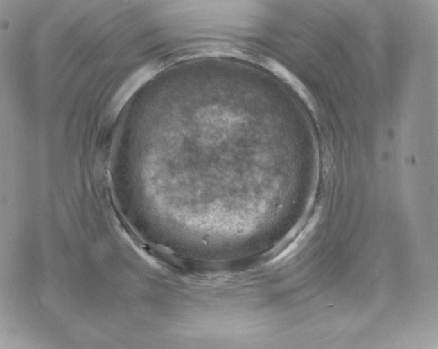 X0000070371385200606301845