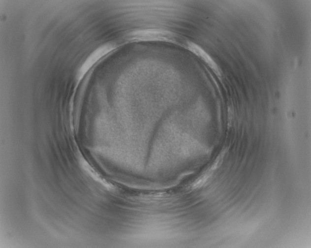 X0000070371386200606301845