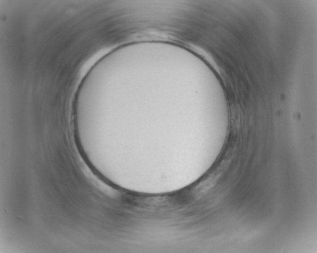 X0000070371387200606301845