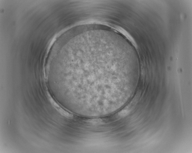 X0000070371388200606301845