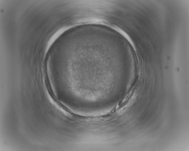 X0000070371389200606301845