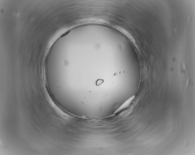 X0000070371391200606301845