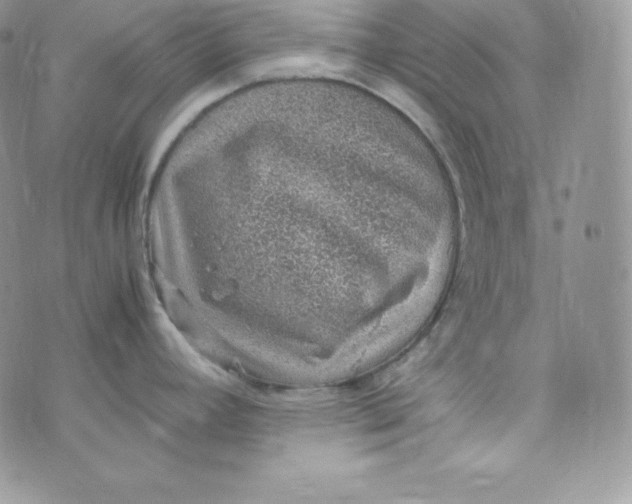 X0000070371392200606301845