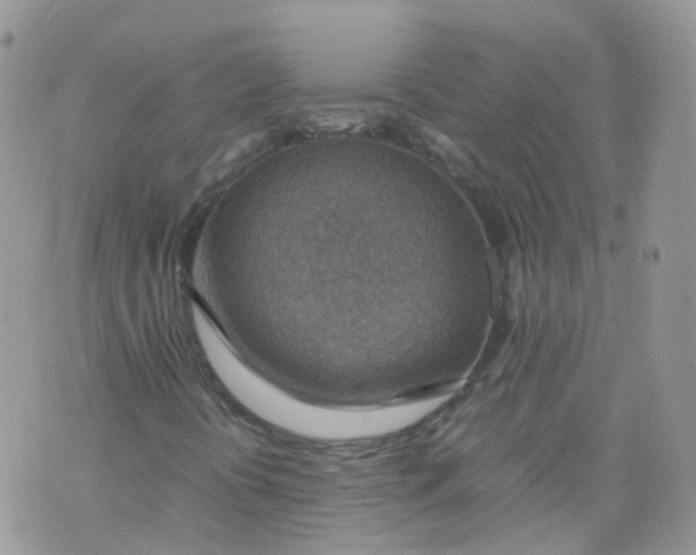 X0000070371394200606301844