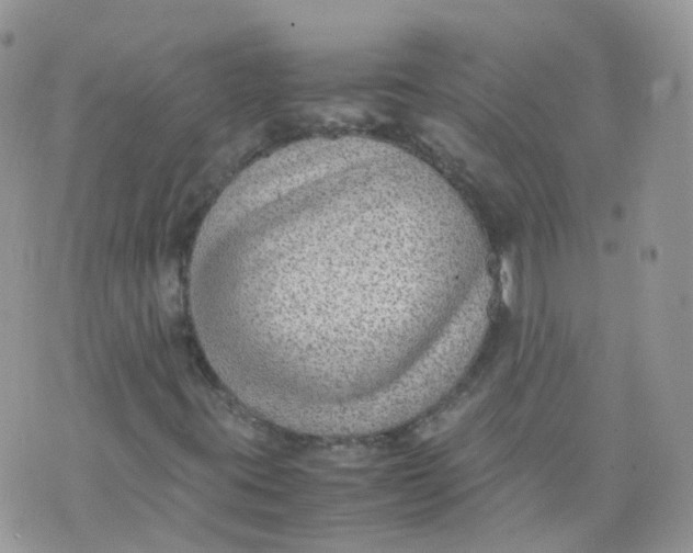 X0000070371395200606301844