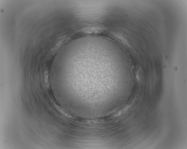 X0000070371396200606301844